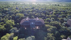 Vue aérienne d’une maison entourée d’une végétation luxuriante.