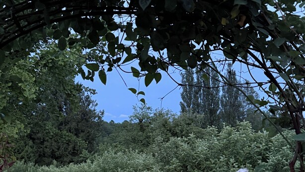Un sendero de grava en un jardín con árboles y plantas florecientes.