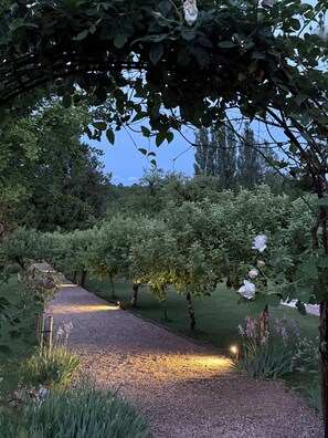 Un chemin de gravier dans un jardin agrémenté d’arbres et de plantes à fleurs.