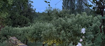 Brantôme en Périgord, charmant huis met karakter 0 pers, zout zwembad, park, high speed wifi