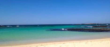 Plage, chaises longues, serviettes de plage