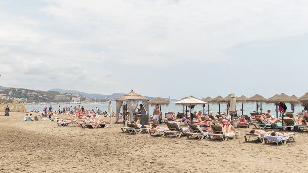 Ein Strand mit Liegestühlen und Sonnenschirmen, Palmen und eine ferne Bergblick.