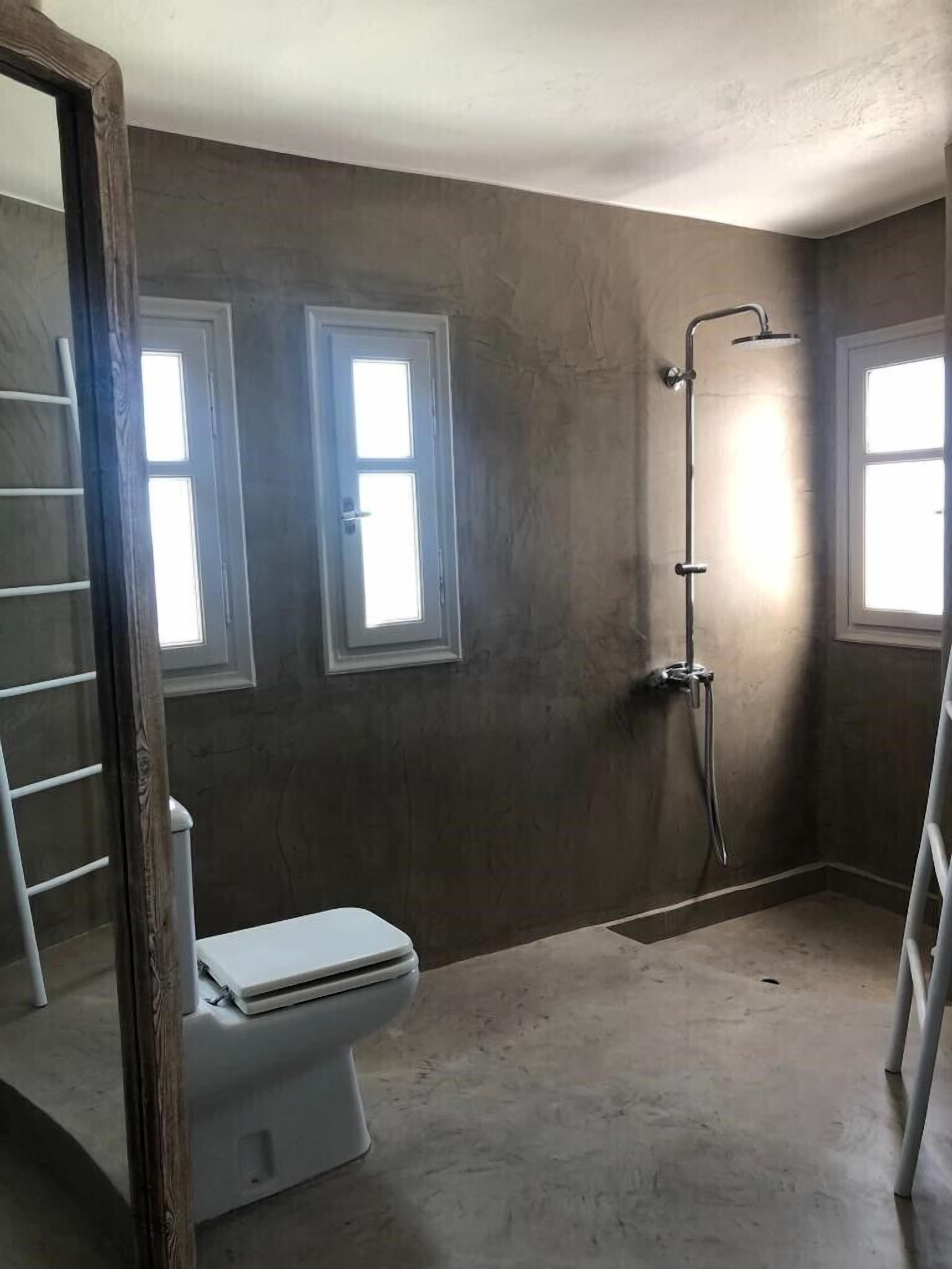 A bathroom with a shower, toilet, and two windows.