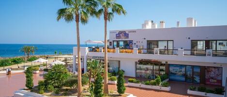 A hotel with a beach view, palm trees, and outdoor seating areas.