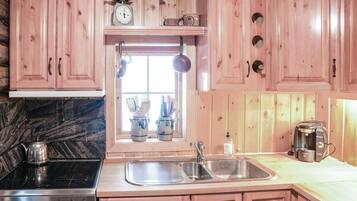 Fridge, stovetop, dishwasher, coffee/tea maker
