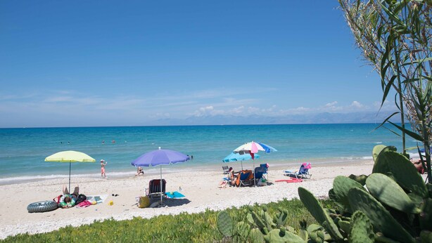 Een strand met mensen die ontspannen onder kleurrijke parasols, met cactussen op de voorgrond en een helderblauwe lucht.