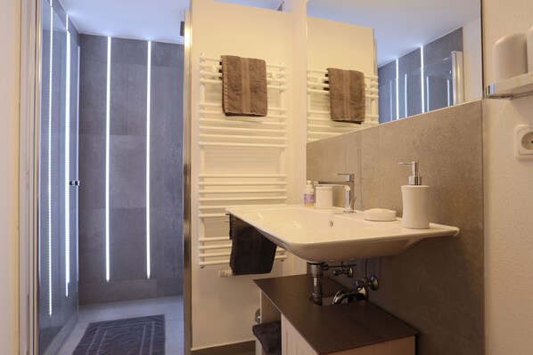 Shower, hair dryer, towels, soap