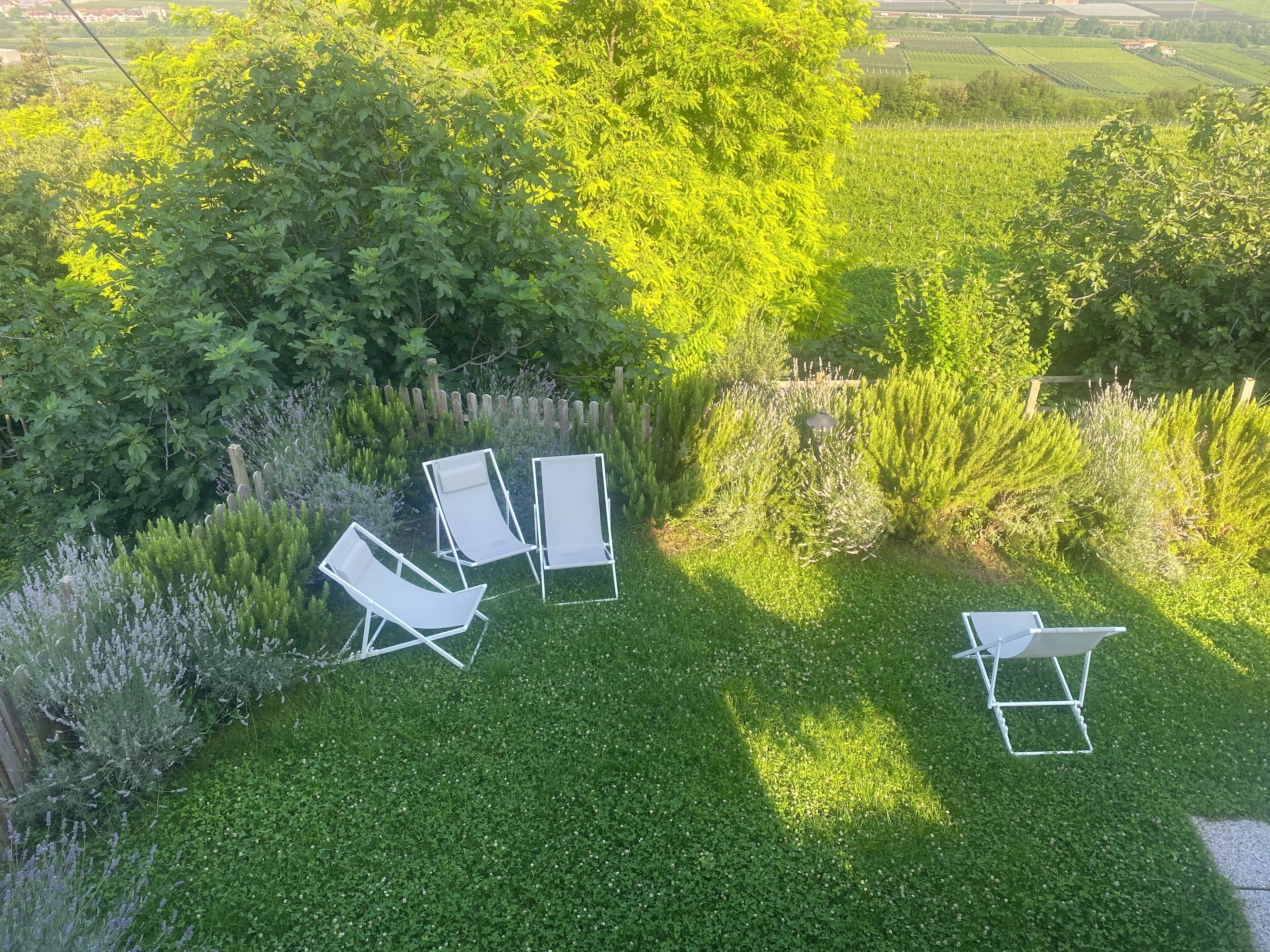 A grassy outdoor area with four white lounge chairs and a small table, surrounded by dense greenery and a wooden fence.