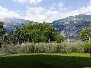 Property grounds - Lavender and Rosemary cottage (Sorni di Lavis, Trento)
