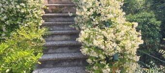 ラベンダーとローズマリーのコテージ