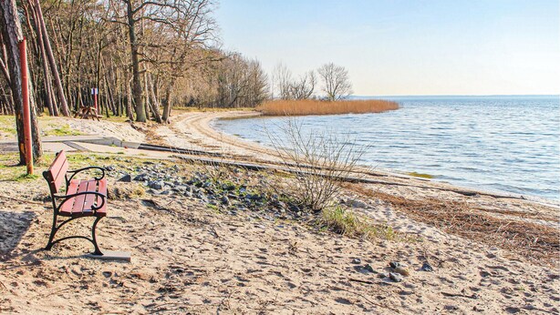 A bench on a sandy beach with a body of water and trees in the background.