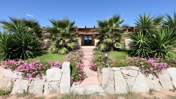 Un edificio con un camino de piedra que lleva a la entrada, rodeado de palmeras y flores rosadas.
