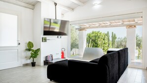 A modern living room with a black sofa, a flat-screen TV, a potted plant, and a view of a garden with cacti.