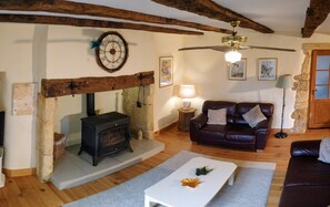 Una televisión, una chimenea, un reproductor de DVD