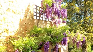 A rustic building with a stone wall, a wooden door, and purple flowering vines. - Les Papillons 4/6, Pool, Balcony, Garden & Courtyard, Top Location & Activities (Domme)