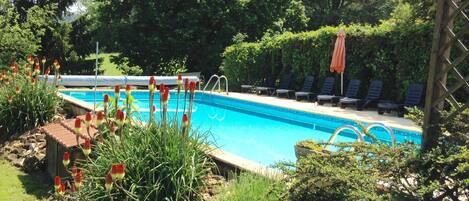 Outdoor pool, pool loungers