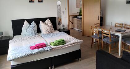 Apartment on the lake