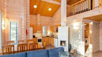 Televisión, chimenea, reproductor de DVD