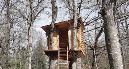 GĂźte Familial avec Cascade, PĂȘche, ActivitĂ©s et ProximitĂ© de Vichy