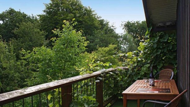 A wooden deck with a table and chairs, surrounded by lush greenery and trees. -  New: Apartment Mühlenblick, balcony and garden, WiFi (Struckum)