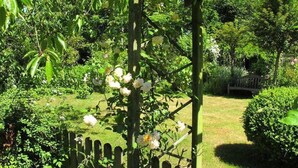 A garden with a wooden fence, lush greenery, and white flowers. -  New: Apartment Mühlenblick, balcony and garden, WiFi (Struckum)
