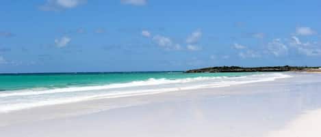 On the beach