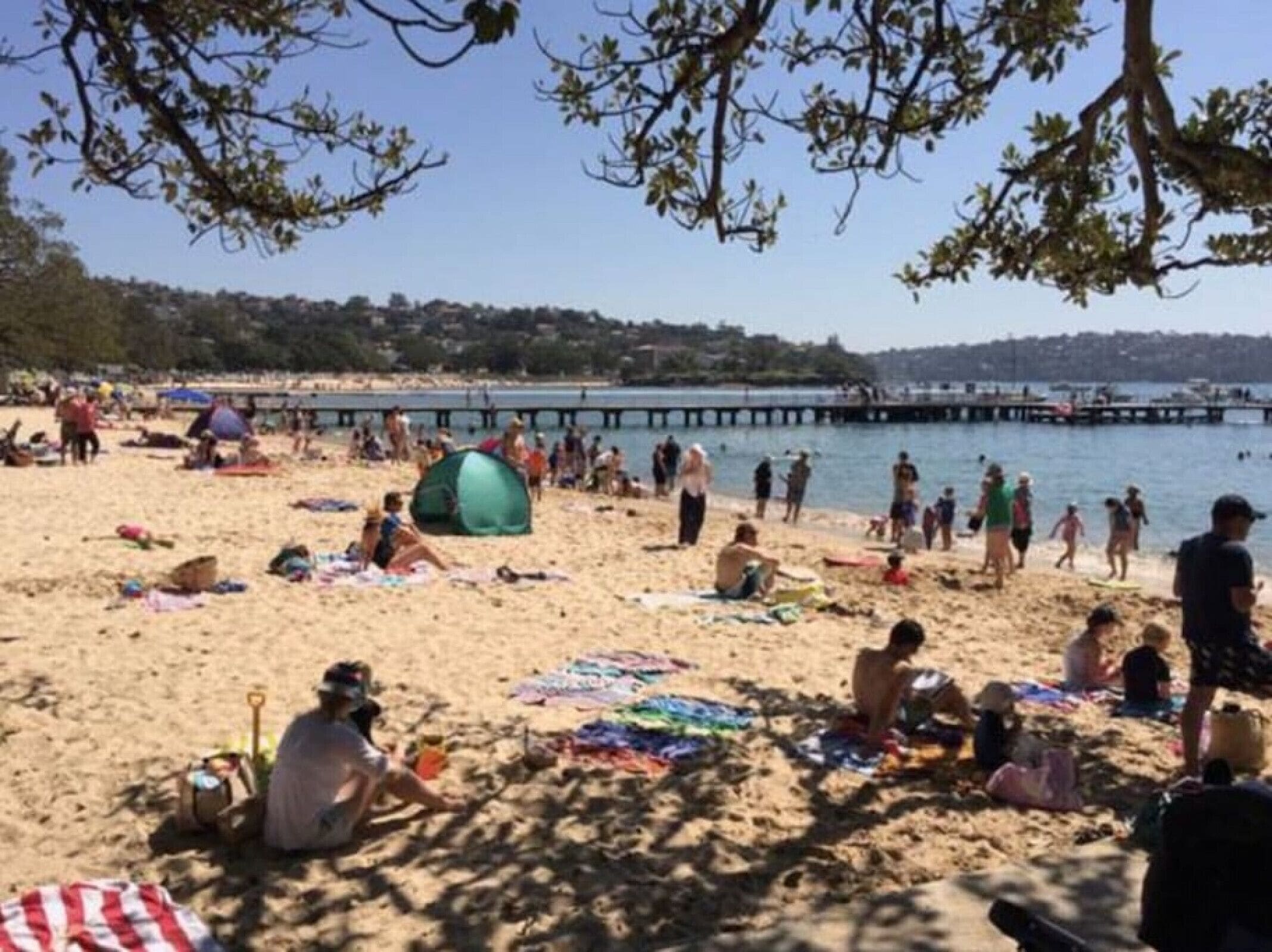 Apartment on Balmoral Beach Hill — image 12