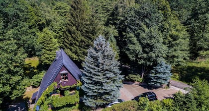 Casa Hanna: un oasis forestal de paz y relajación