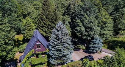 Casa Hanna: un oasis forestal de paz y relajación