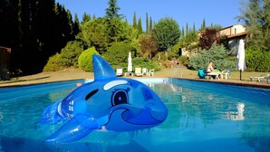 Une piscine avec un dauphin gonflable bleu, entourée d’arbres et avec un bâtiment en arrière-plan.