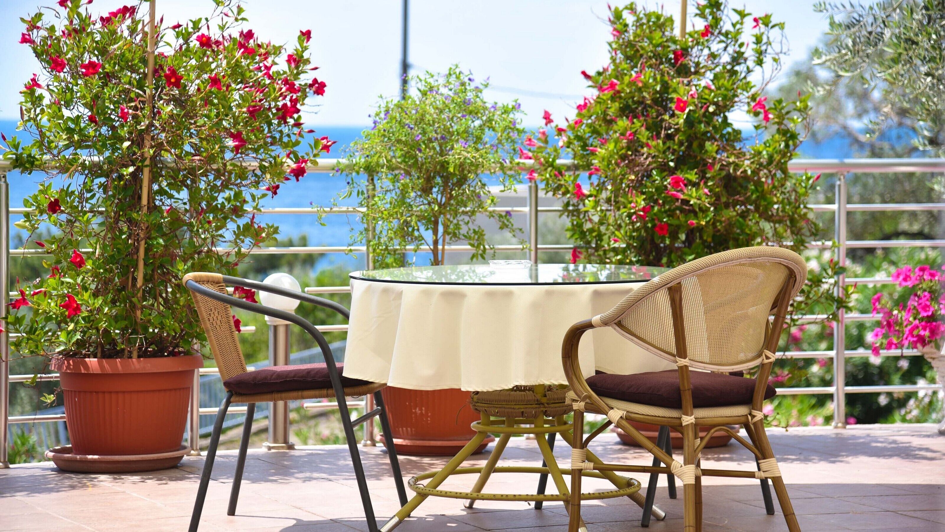 Eine Terrasse im Freien mit Tisch und zwei Korbstühlen, umgeben von Kübelpflanzen mit roten Blüten.