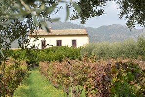 Overnattingsstedets uteområder