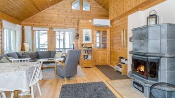 Televisión, chimenea y reproductor de DVD