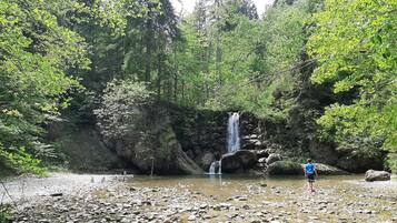 Paisagem natural com uma cascata, rodeada por vegetação verde exuberante e terreno rochoso.