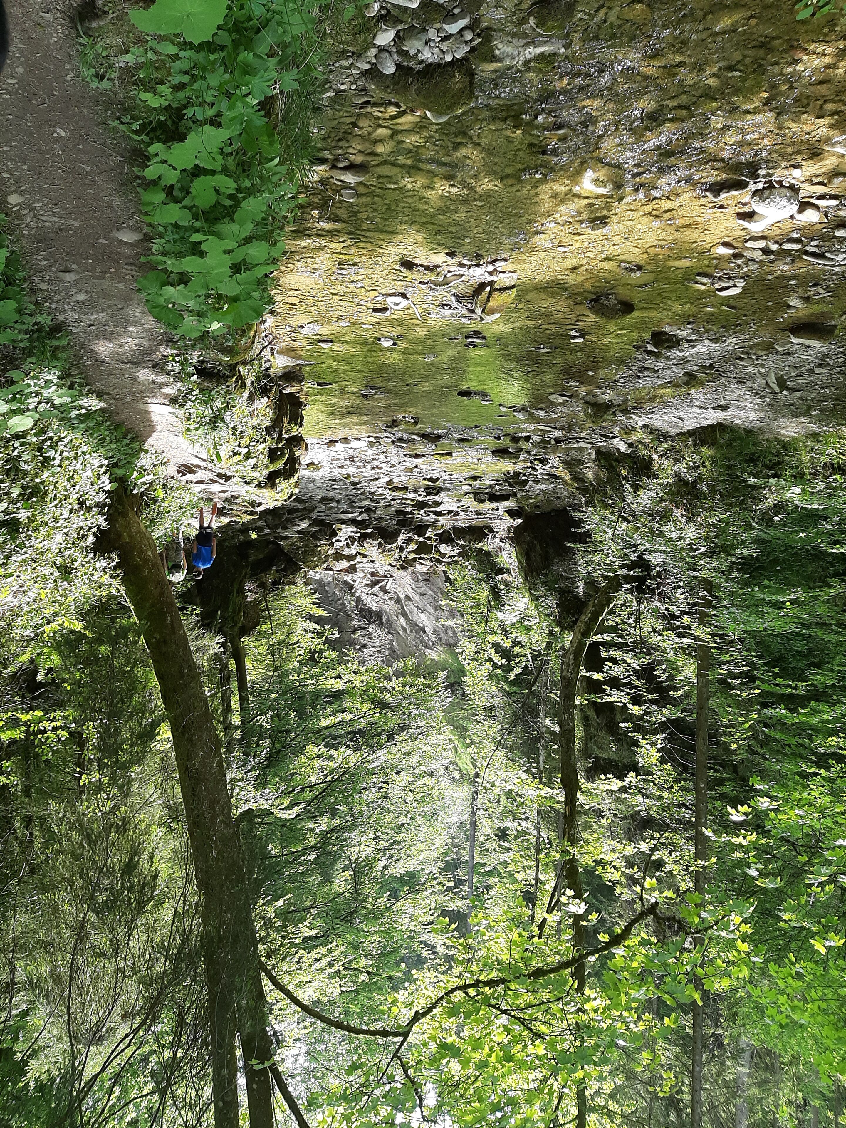 Une zone boisée avec un ruisseau aux rives rocheuses et un sentier étroit.