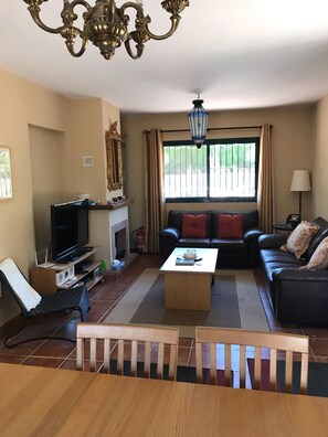 TV, fireplace, DVD player, books