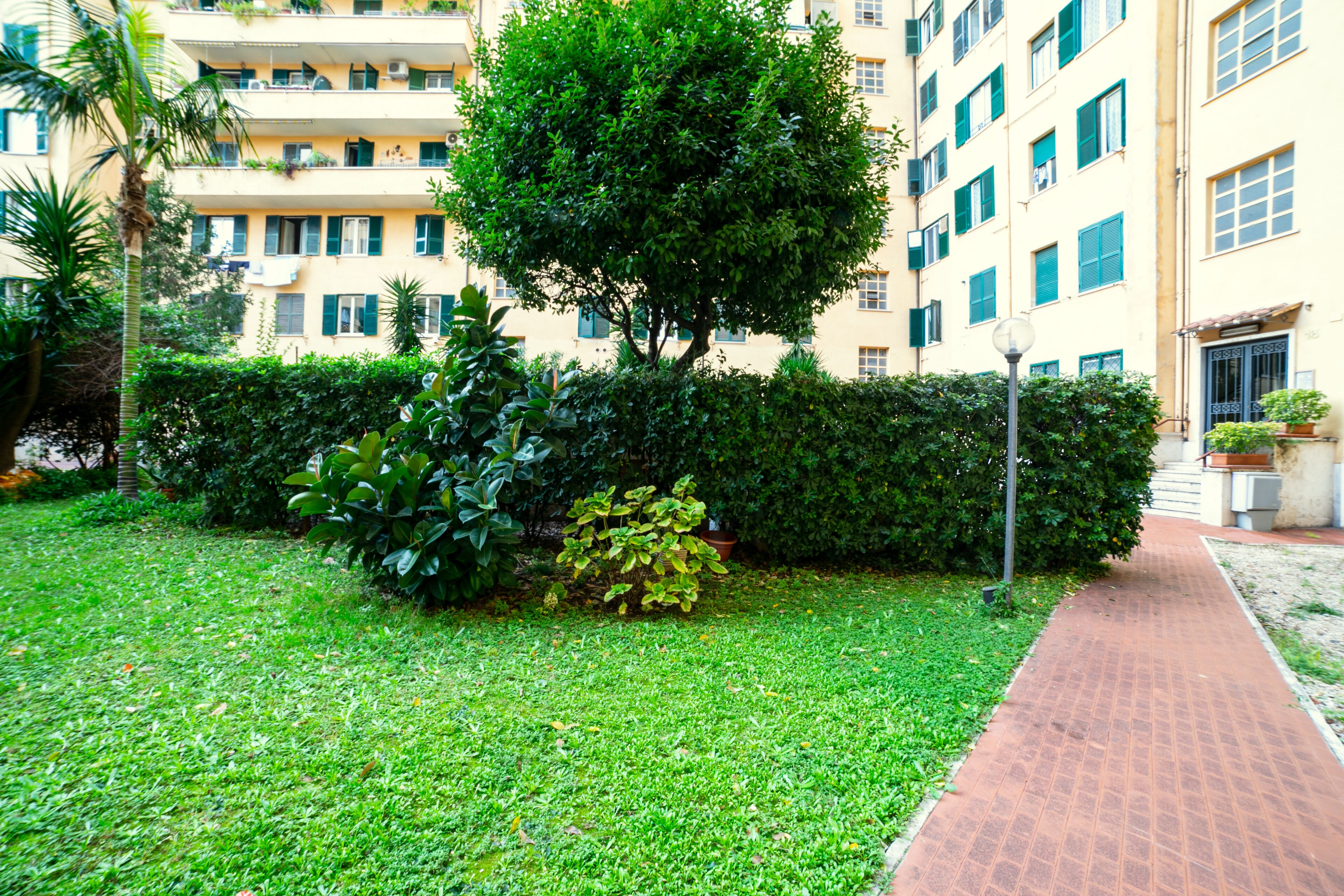 A courtyard with a paved walkway, a large tree, and a building with balconies and windows.
