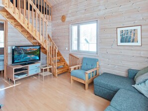 Televisio, DVD-soitin