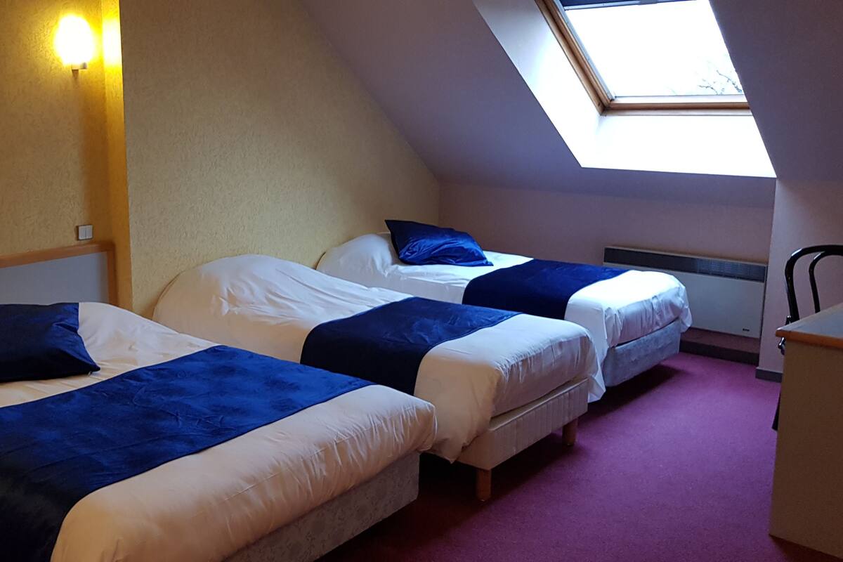Ein Zimmer mit zwei Betten, einem Schreibtisch und einem Dachfenster.