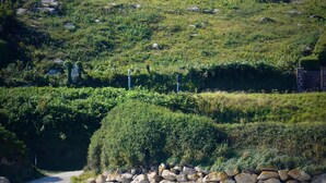 A coastal house with a large bay window, a stone wall, and a beach in the foreground. - Character house with 180° panoramic sea view - Côte Sauvage de Portsall (Landunvez)