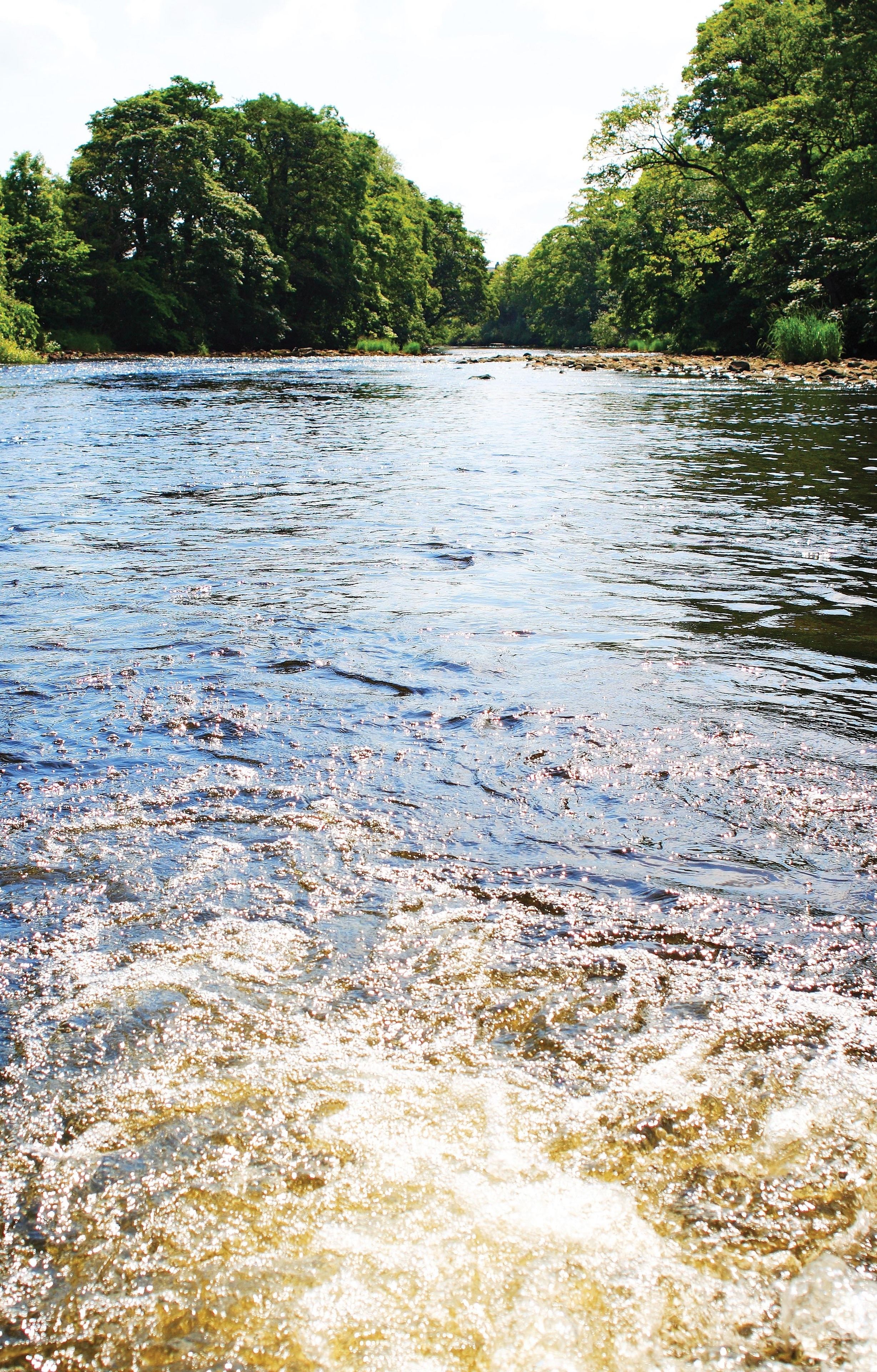 A river with clear water and surrounding greenery.