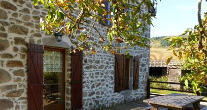 Rustic house with fireplace, garden, and pets allowed in Laprugne