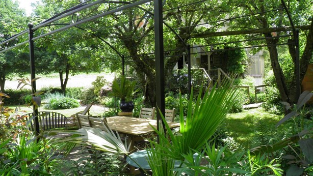 Un jardín con una mesa y sillas de madera, rodeado de exuberante follaje y árboles.