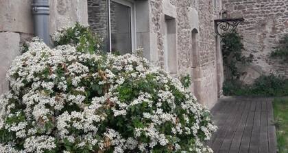 Gßte spacieux avec jardin, terrasse, BBQ et cheminée