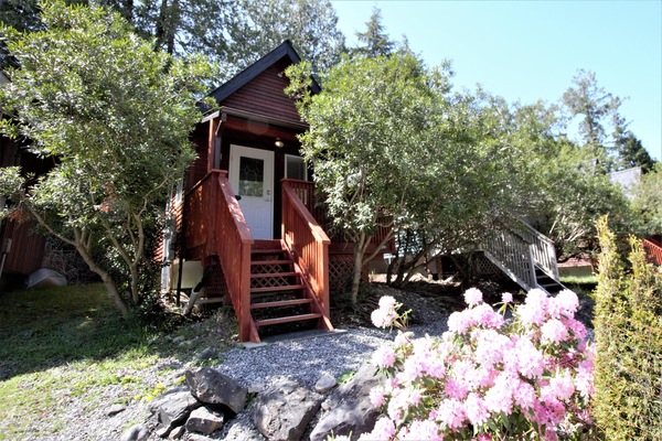Cabin (Cozy Cabin centrally located - Love S) | Exterior