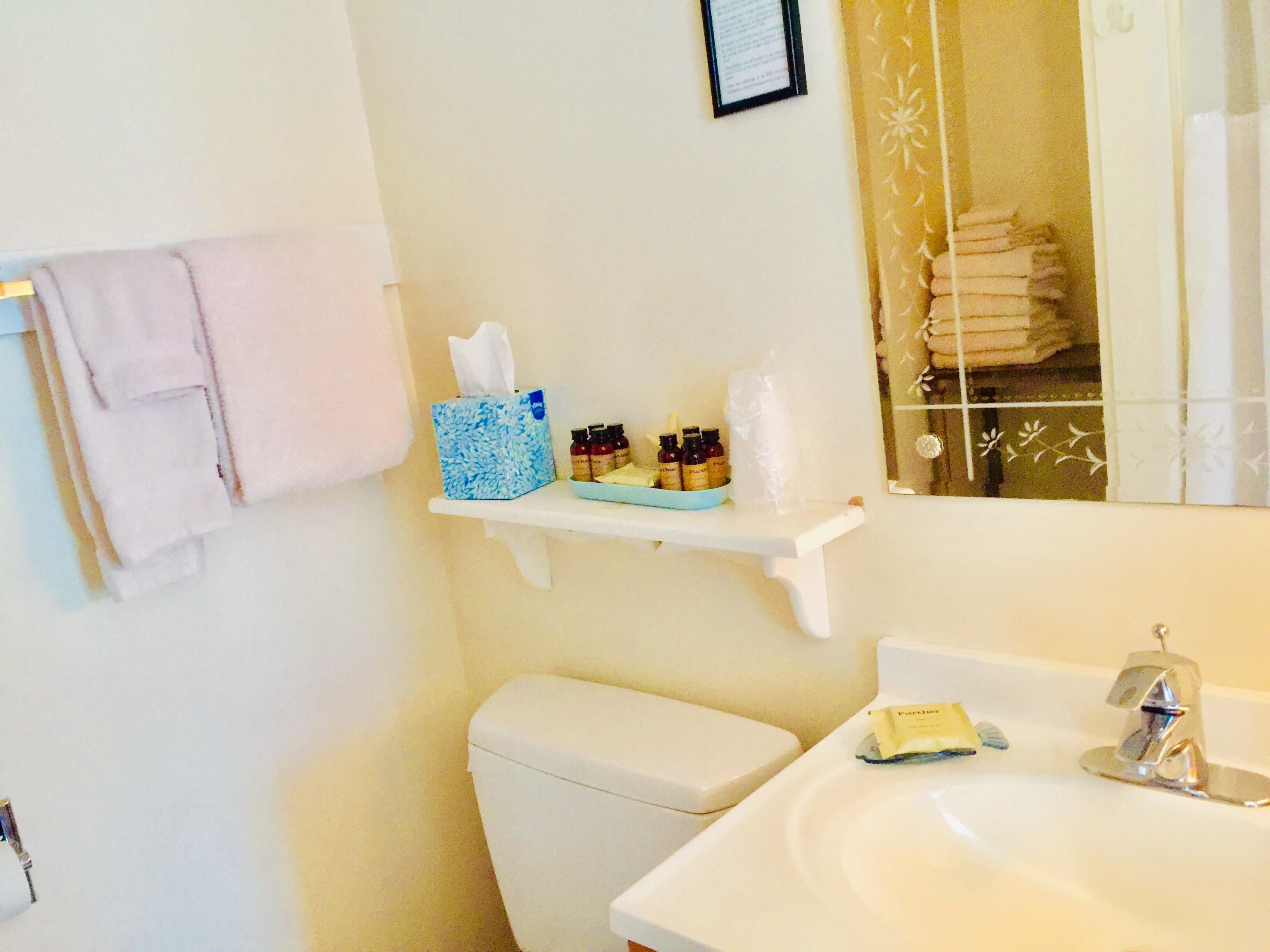 deluxe room, 1 king bed | bathroom | free toiletries, hair dryer, towels, soap