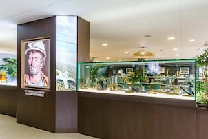 A reception area with a glass display case containing various items, a poster on the wall, and a ceiling light fixture.