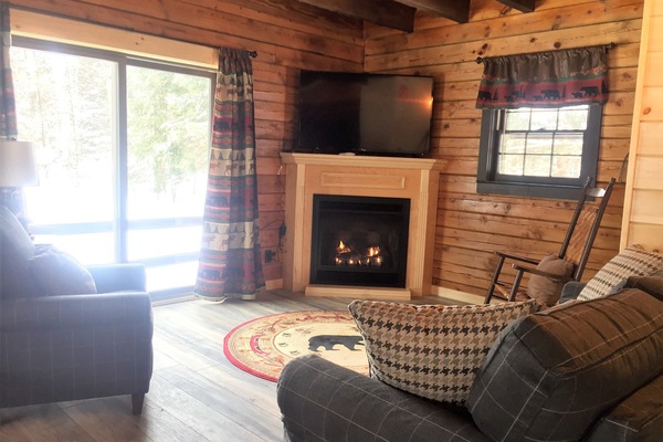 Smart TV, fireplace, DVD player, video library