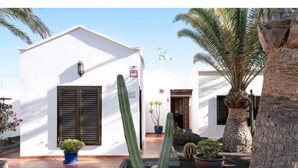 A white building with a tiled patio, a cactus, and a palm tree. - Villa Las Palmeras in Playa Blanca (Playa Blanca)