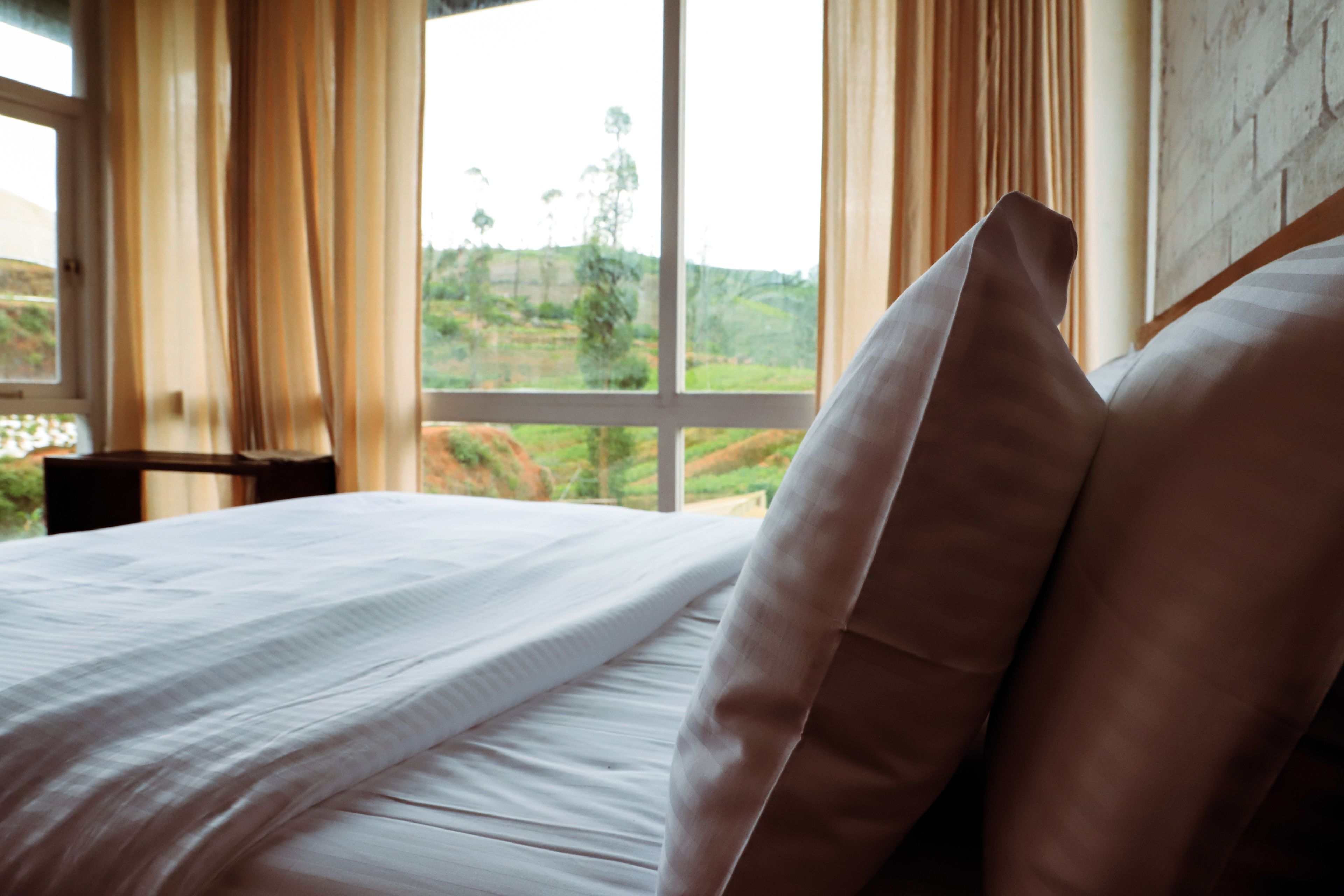 Luxury Room, 1 King Bed, Mountain View | Egyptian cotton sheets, premium bedding, memory foam beds